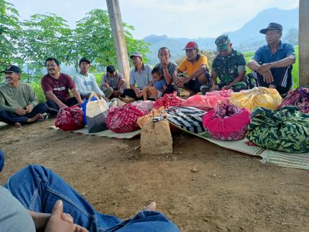 Adat Tingkepan Pari